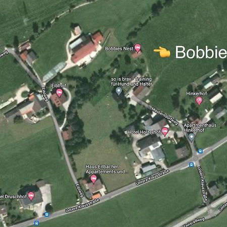 Bobbies Nest Villa Schladming Ngoại thất bức ảnh