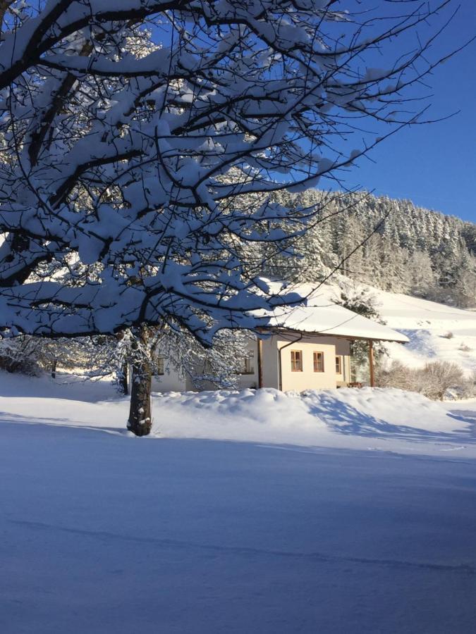 Bobbies Nest Villa Schladming Ngoại thất bức ảnh