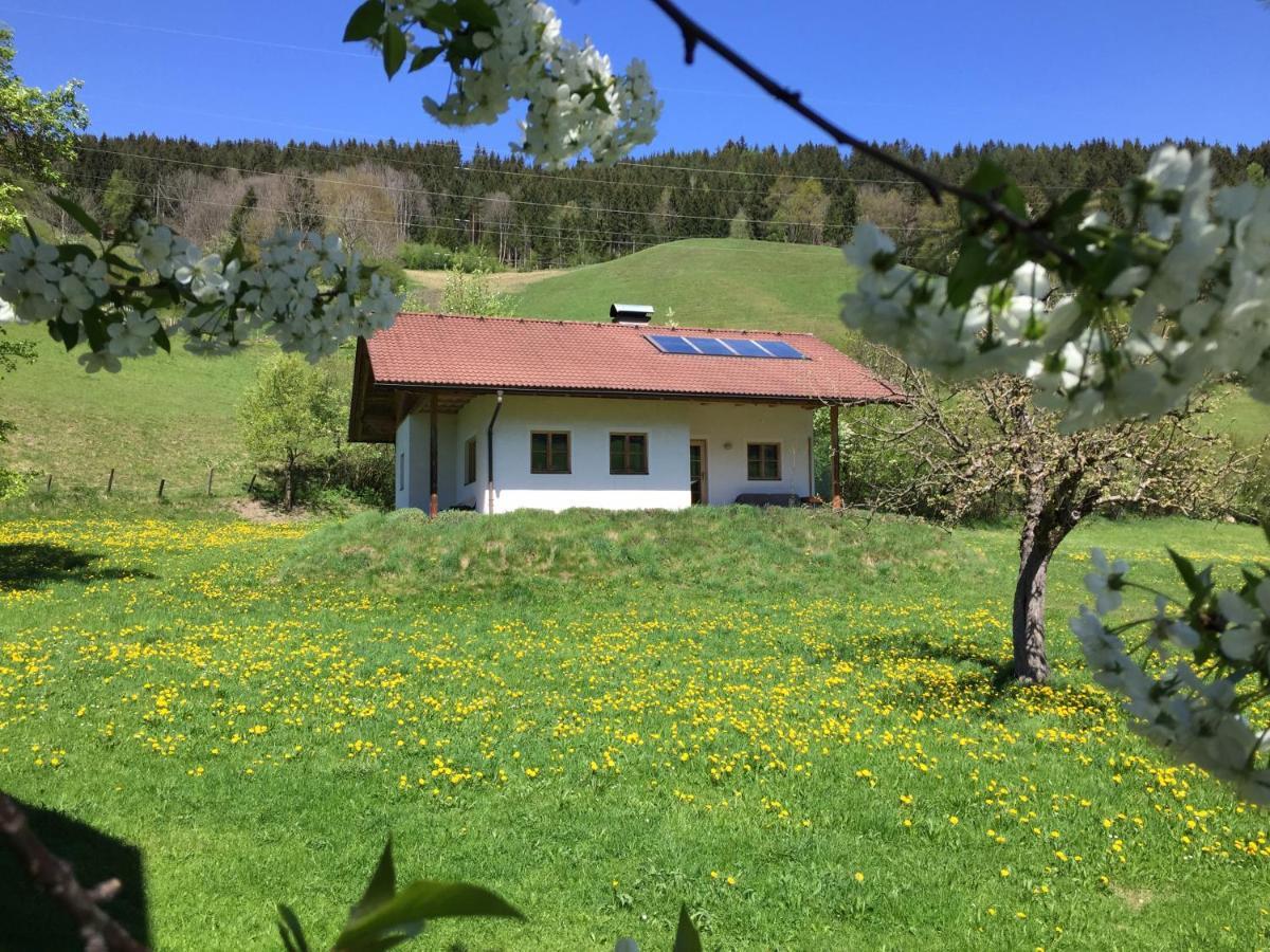 Bobbies Nest Villa Schladming Ngoại thất bức ảnh